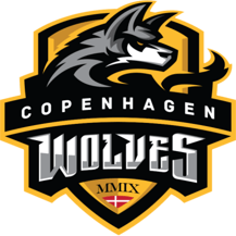 team logo