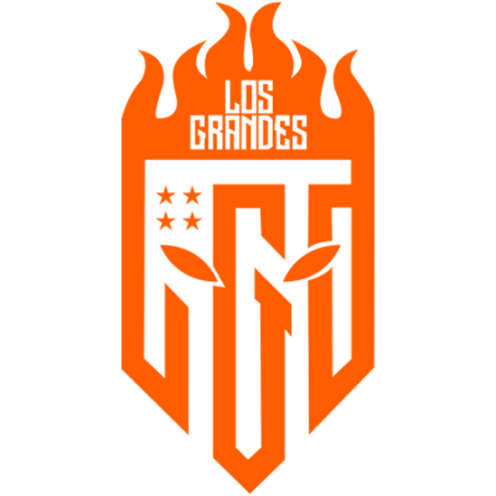 team logo