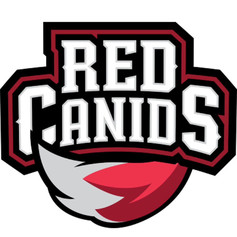 team logo