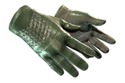★ Driver Gloves | Racing Green (Well-Worn)