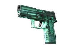 P250 | X-Ray (Field-Tested)