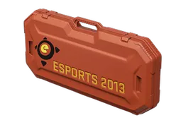 eSports 2013 Case