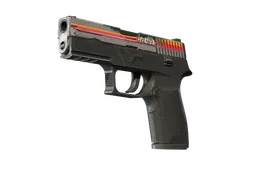 P250 | Cassette (Field-Tested)