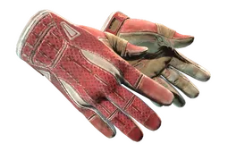 ★ Sport Gloves | Slingshot (Well-Worn)