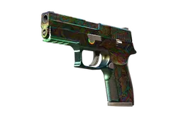 P250 | Visions (Battle-Scarred)