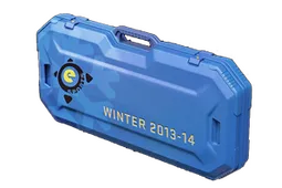 eSports 2013 Winter Case