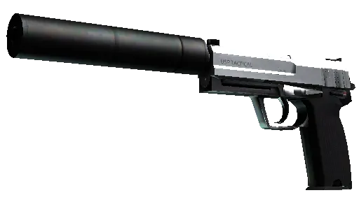 StatTrak™ USP-S | Stainless (Field-Tested) - Preview