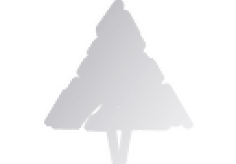 patch